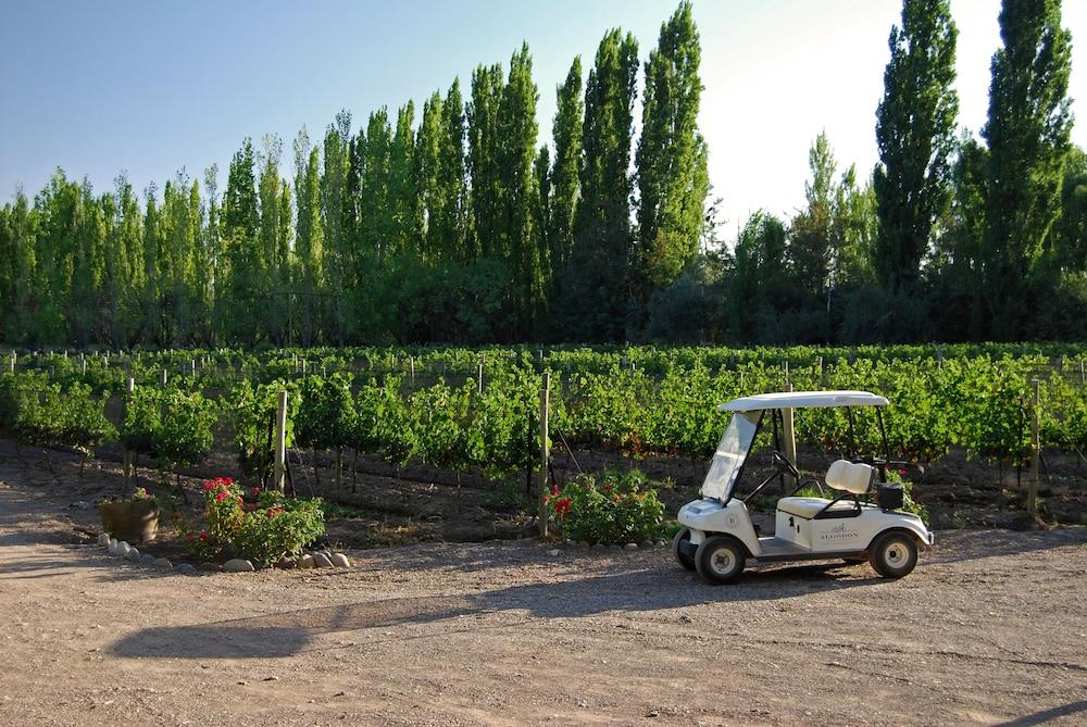 Algodon Wine Estates & Champions Club Hotel San Rafael  Exterior photo