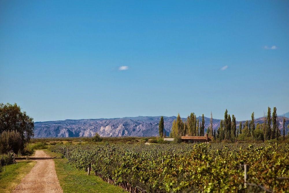 Algodon Wine Estates & Champions Club Hotel San Rafael  Exterior photo