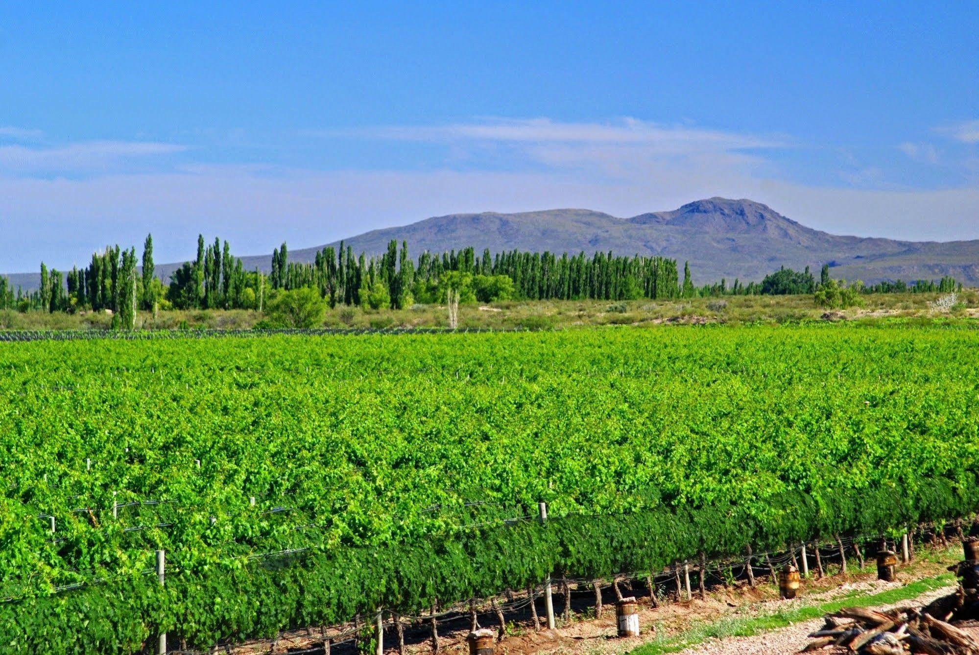 Algodon Wine Estates & Champions Club Hotel San Rafael  Exterior photo