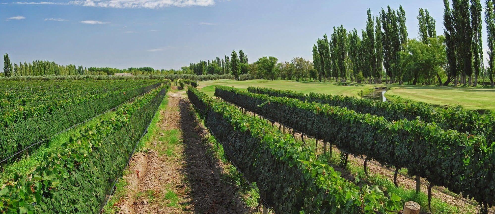 Algodon Wine Estates & Champions Club Hotel San Rafael  Exterior photo